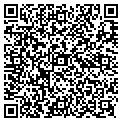 QR code with D D Co contacts