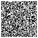 QR code with Professional Results contacts
