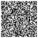 QR code with Baggie Goose contacts