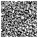 QR code with Premier Wireless contacts