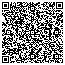 QR code with Progressive Designs contacts