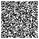 QR code with Carters Consulting Inc contacts