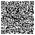 QR code with Vector contacts