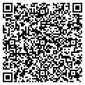 QR code with Lillys contacts