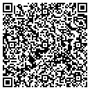 QR code with Public Works contacts