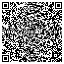 QR code with Premieres Video contacts