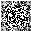 QR code with Pyramid Software Inc contacts