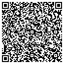 QR code with County Election Board contacts