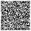 QR code with Collection Solutions contacts