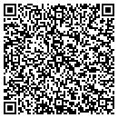 QR code with Pyramid Hydraulics contacts
