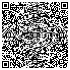 QR code with Professional Wallcovering contacts