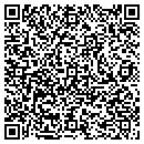 QR code with Public Service of NC contacts