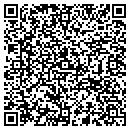 QR code with Pure Altitude Productions contacts