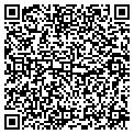 QR code with Citgo contacts