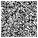 QR code with Brians Mechanical Inc contacts