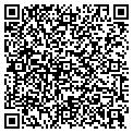QR code with TDM 29 contacts