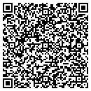 QR code with Pro Connection contacts