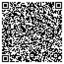 QR code with Pyrotech Services contacts