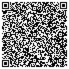 QR code with Blue Ridge Motor Sales contacts