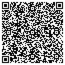 QR code with Cyplex Construction contacts