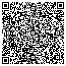 QR code with Cyzner Institute contacts