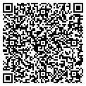 QR code with Curves contacts
