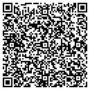QR code with Pulliam's Pro Wash contacts