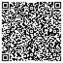 QR code with Princeton Tire Service contacts