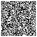 QR code with Prismatic IV LLC contacts