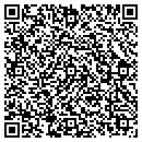 QR code with Carter Well Drilling contacts