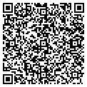 QR code with New Vision Travel contacts