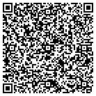 QR code with Professional Electronics contacts