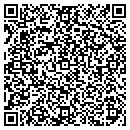 QR code with Practical Visions LLC contacts