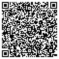 QR code with AMF contacts