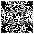 QR code with Color Connection contacts