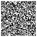 QR code with Bison Consulting Inc contacts