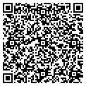 QR code with Insco contacts