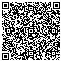 QR code with David McLemore CPA contacts
