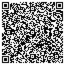 QR code with Public Works contacts