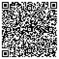QR code with Alltel contacts