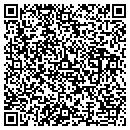 QR code with Premiere Properties contacts