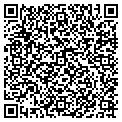 QR code with Wilhelm contacts