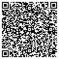 QR code with Magic contacts
