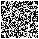 QR code with Progressive Power Inc contacts