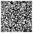 QR code with Carpets By Thad Inc contacts