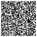 QR code with Babek Consulting Inc contacts