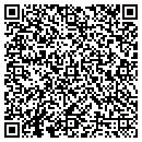 QR code with Ervin's Cars & More contacts