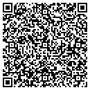QR code with Pro Tel Consulting contacts