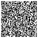 QR code with Puns & Assoc contacts