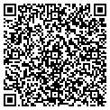 QR code with Curves contacts
